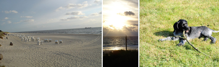 Rantumer Strand/ Sonnenuntergang/ Urlaub mit Hund